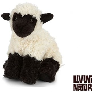 Black-faced Lamb / Sheep by Living Nature
